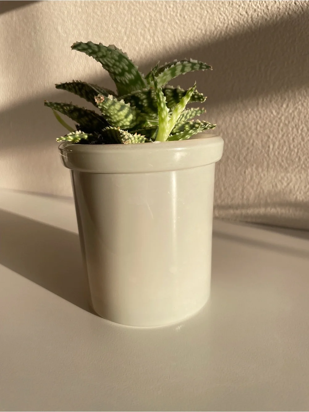 Sage Green Jar